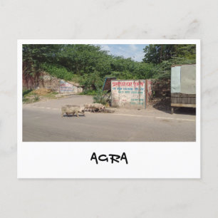 Carte Postale Agra, Uttar Pradesh (Inde)