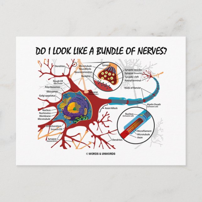 Carte Postale Ai-Je L'Air D'Un Ensemble De Nerfs ? Synapse du ne (Devant)