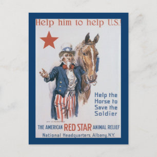Carte Postale Aidez-le à aider les États-Unis !