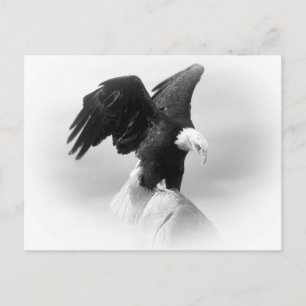 Carte postale Aigle