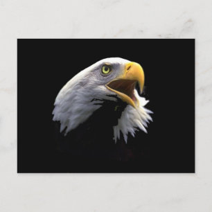 Carte Postale Aigle