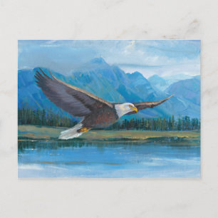 Carte Postale Aigle à tête blanche