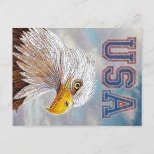 Carte Postale Aigle à tête blanche américaine