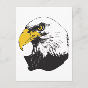 Carte Postale Aigle à tête blanche américaine