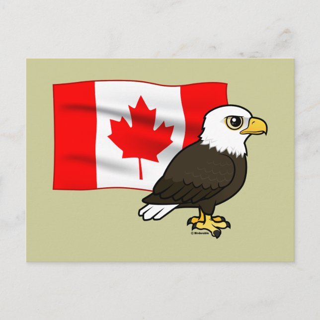Carte Postale Aigle à tête blanche canadienne (Devant)