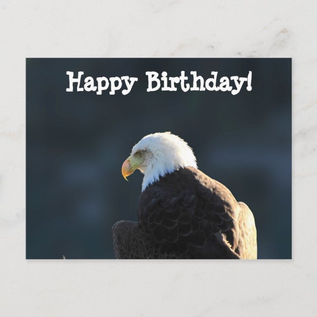 Carte Postale Aigle à tête blanche ; Joyeux anniversaire (Devant)