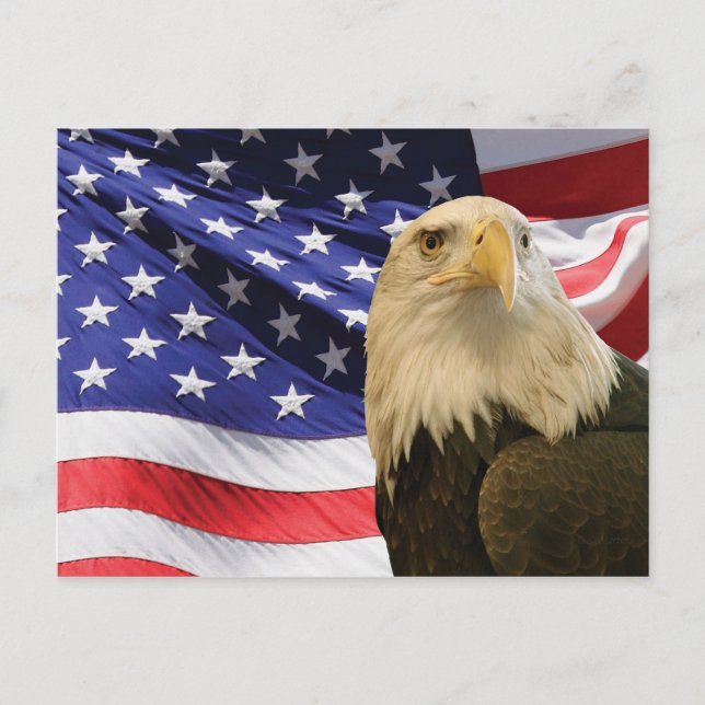Carte Postale Aigle américain chauve et drapeau (Devant)