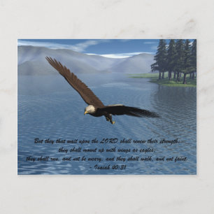 Carte Postale Aigle avec Écriture