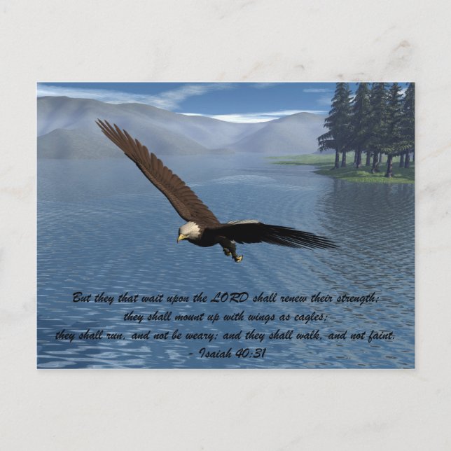 Carte Postale Aigle avec Écriture (Devant)