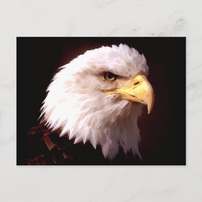 Carte Postale Aigle d'Amérique (Devant)