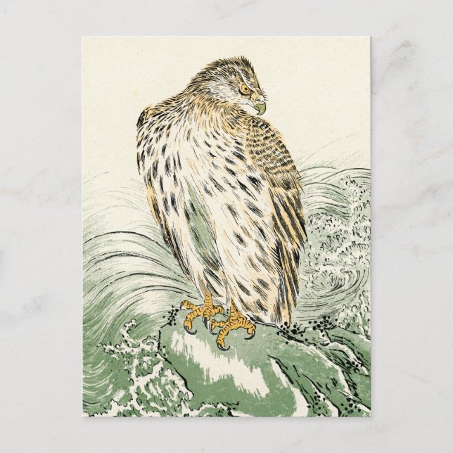 Carte Postale Aigle de mer du Japon - Balbuzard pêcheur (Devant)