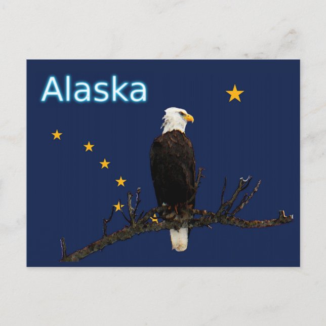 Carte Postale Aigle Et Drapeau De L'Alaska (Devant)