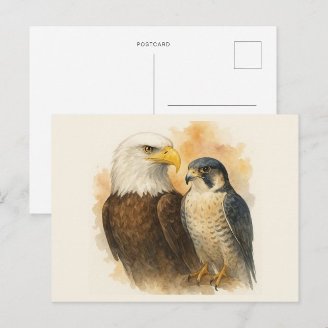Carte Postale Aigle et faucon pèlerin Art de la faune (Devant / Derrière)
