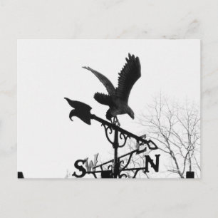 Carte Postale Aigle et flèche