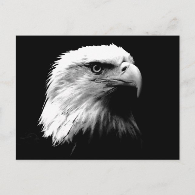 Carte postale Aigle Noir et Blanc (Devant)