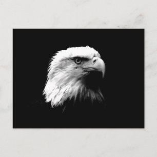 Carte Postale Aigle noir et blanc