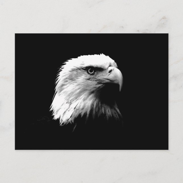 Carte Postale Aigle noir et blanc (Devant)