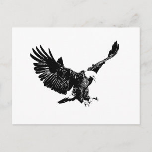 Carte Postale Aigle noir et blanc