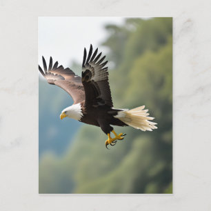 Carte Postale Aigle qui s'envole dans le ciel