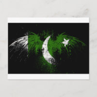 aigle-sur-pakistani-drapeau-papiers-d'-peigne-hd-w