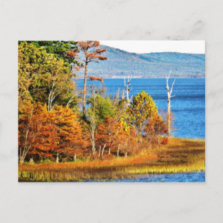 Carte Postale Aigles sur le lac Sardis