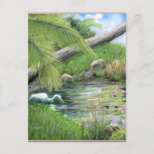 Carte Postale Aigrette sur étang