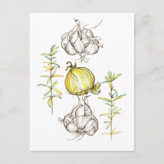 Carte Postale Aiguilles Cuisine de cuisine Herbes Jardin Plante (Devant)