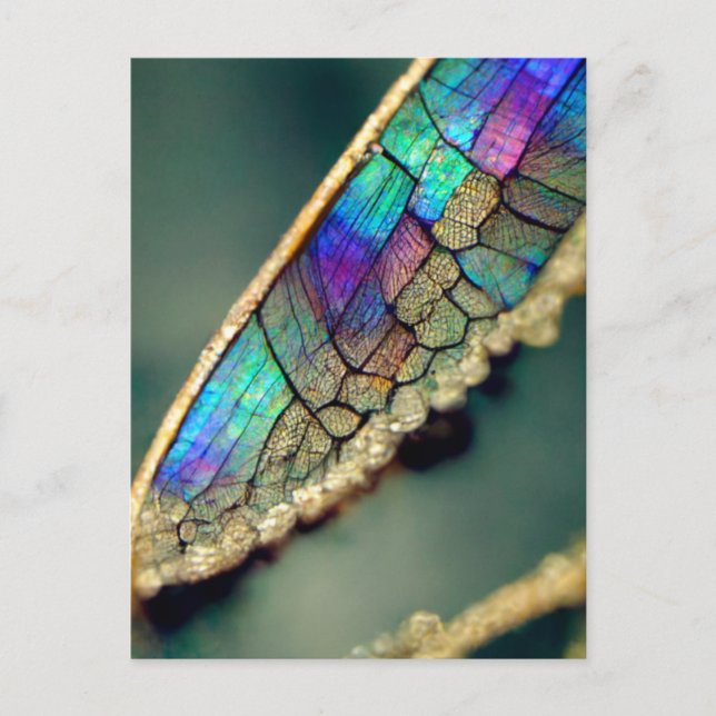 Carte Postale Aile de libellule d'iridescente (Devant)