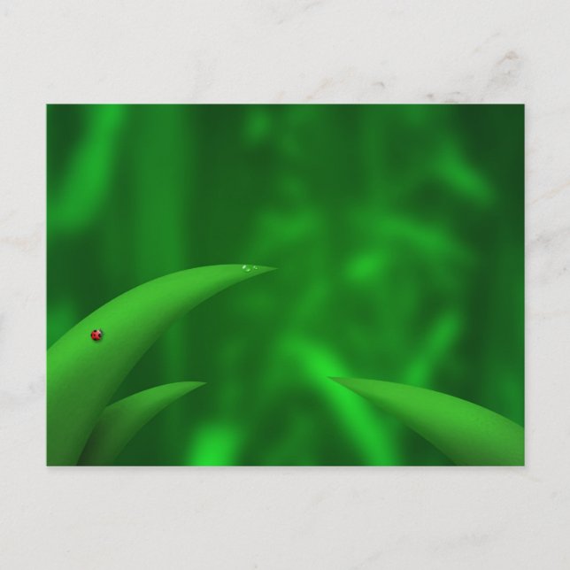 Carte Postale Aimer les Verts ! (Devant)