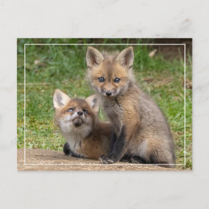 Carte Postale Aimer les yeux