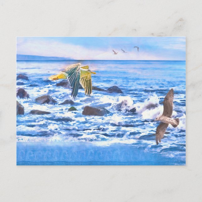 CARTE POSTALE AIRE DE JEUX DE L'OCÉAN DE SEAGULL (Devant)