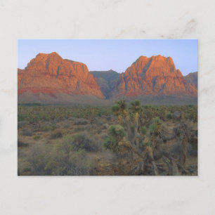 Carte Postale Aire nationale de conservation du canyon de Red Ro