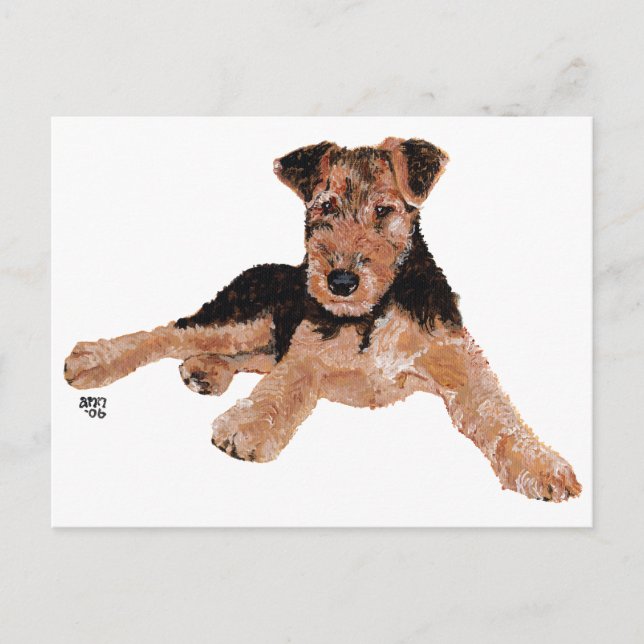 Carte Postale Airedale, Lakeland, Welsh Terrier Pup (Devant)