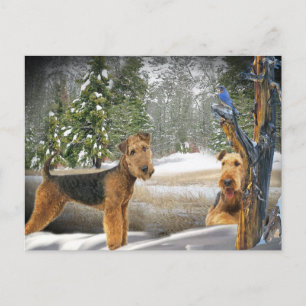 Carte Postale Airedale Terrier Cadeaux de la Journée d'hiver