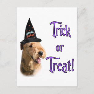 Carte Postale Airedale Terrier Trick