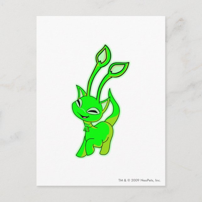 Carte Postale Aisha Éclatante (Devant)