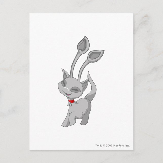 Carte Postale Aisha Silver (Devant)