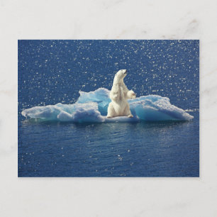 Carte Postale Ajouter SLOGAN pour sauver les ours polaires Planè