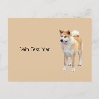 Carte Postale Akita Inu