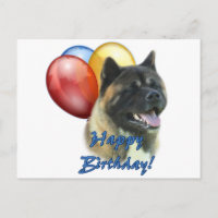 Akita Joyeux Ballons d'anniversaire