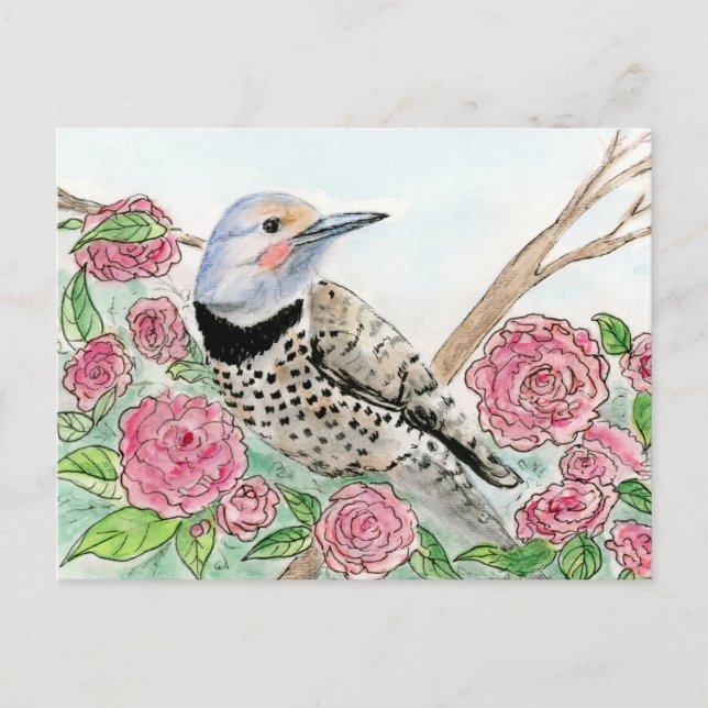 Carte postale Alabama (Devant)