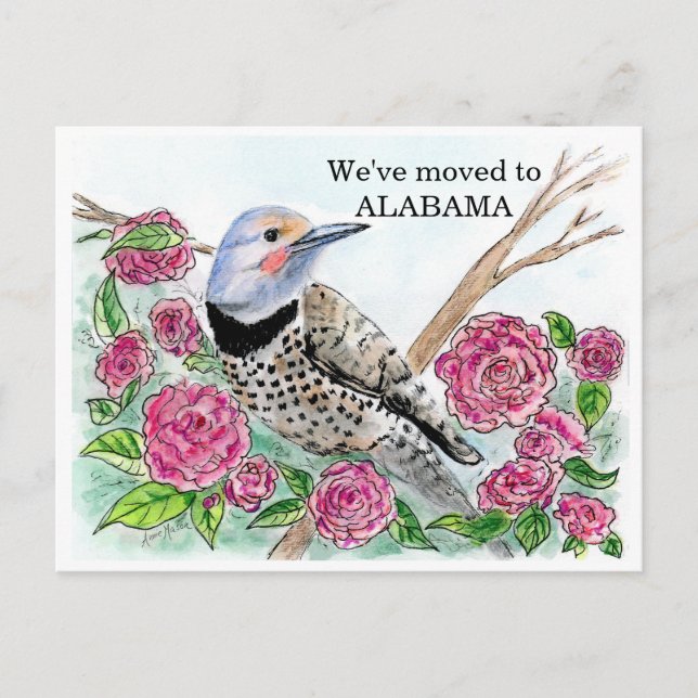 Carte Postale Alabama (Devant)