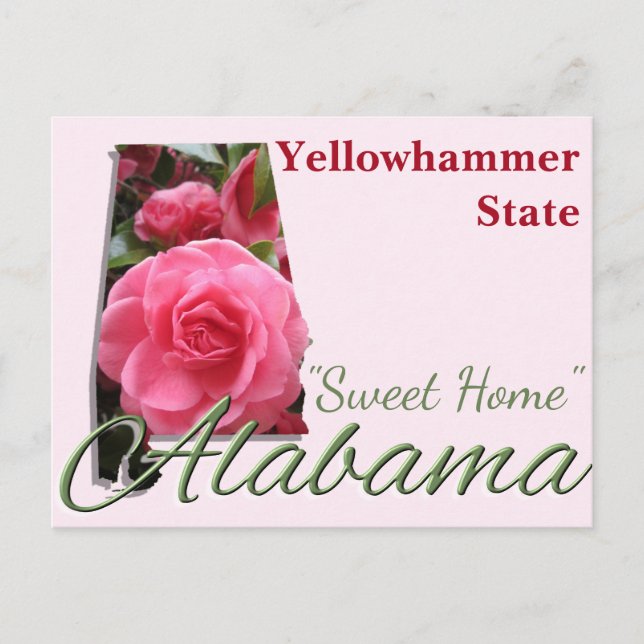 Carte postale - ALABAMA (Devant)
