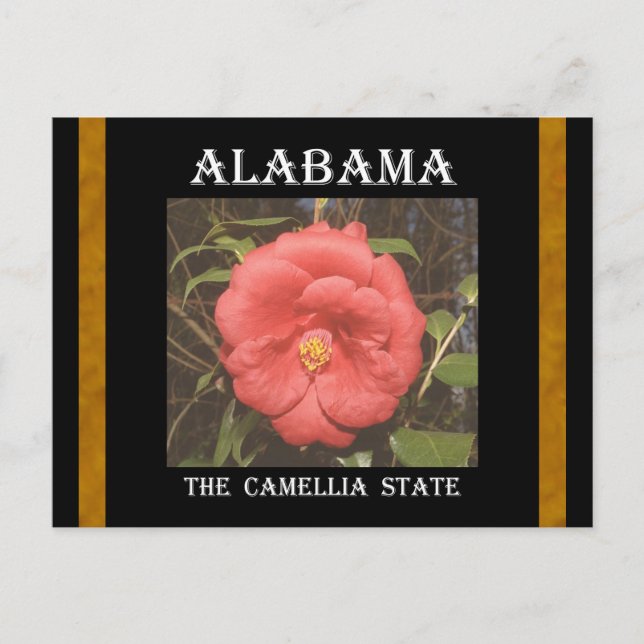 Carte Postale Alabama Camellia (Rouge) (Devant)