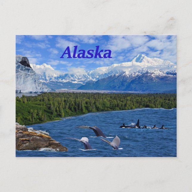 Carte Postale Alaska (Devant)