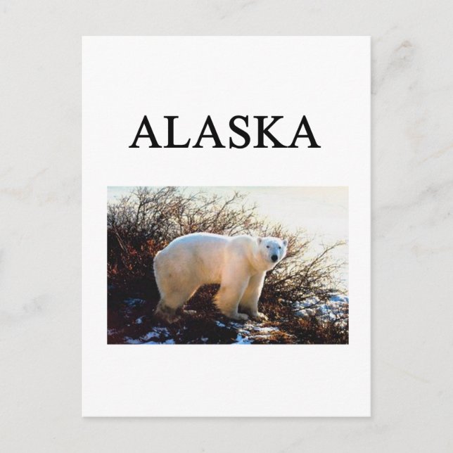 Carte Postale alaska (Devant)