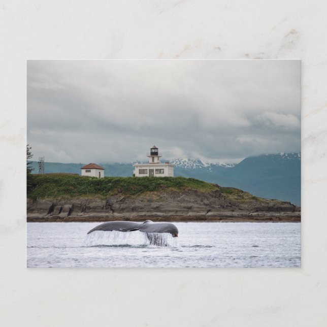 Carte Postale Alaska (Devant)