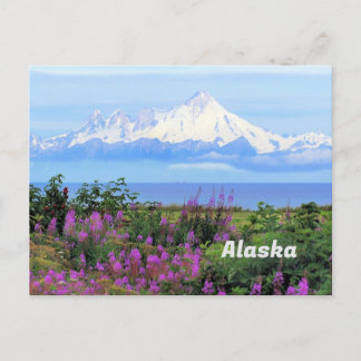 Carte Postale Alaska, glacier du Mont Iliamna et fleurs d'algues