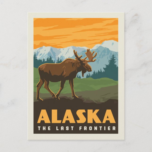 Carte Postale Alaska | Le Dernier Front - Moose (Devant)