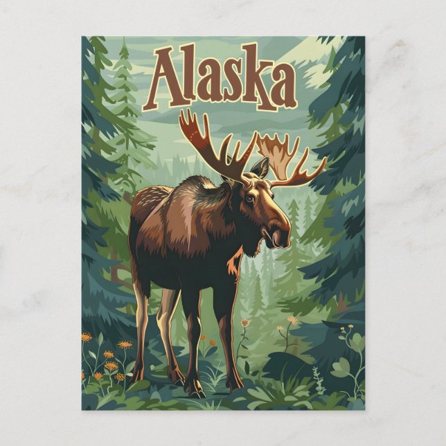 Carte Postale Alaska Moose (Devant)